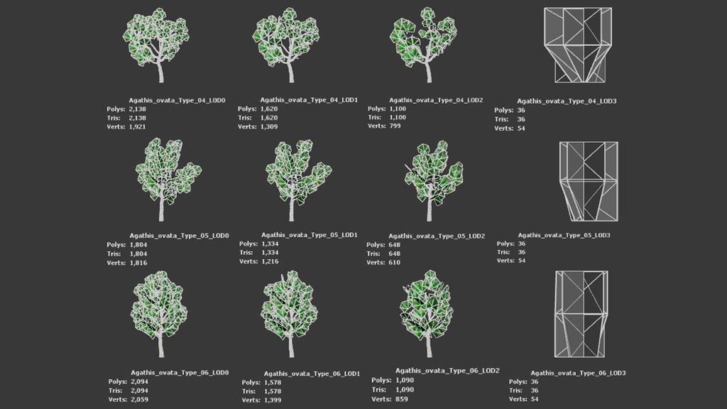ニューカレドニアの遺産 アガチス・オバタ 3Dモデル