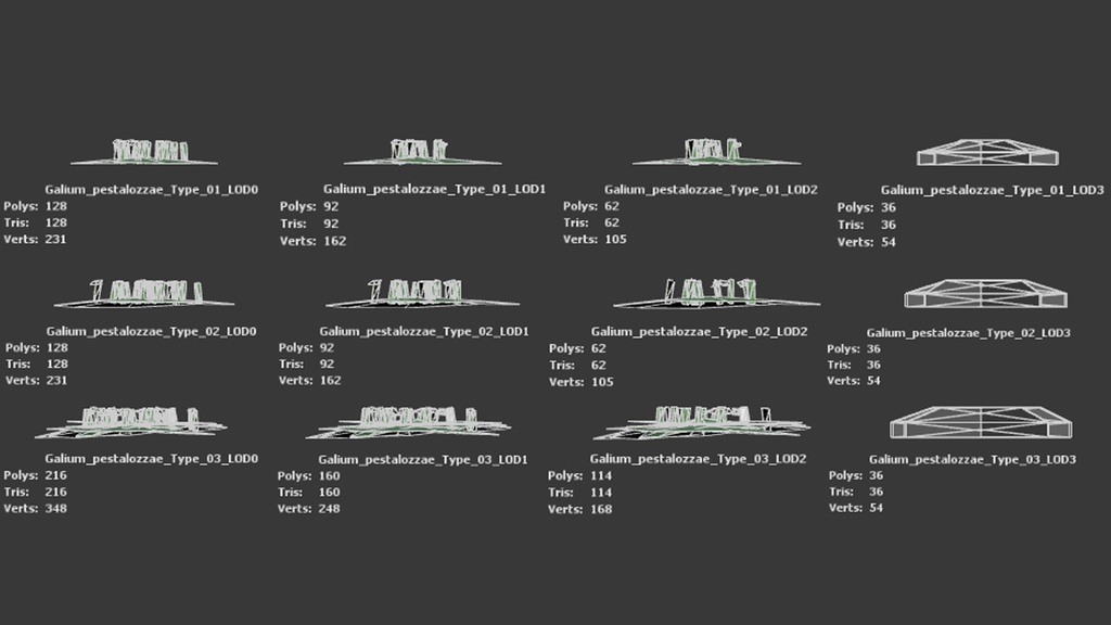 トルコの希少植物 ガリウム・ペスタロッツァエ 3Dモデル