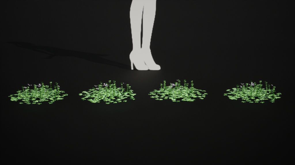 トルコの希少植物 ガリウム・ペスタロッツァエ 3Dモデル