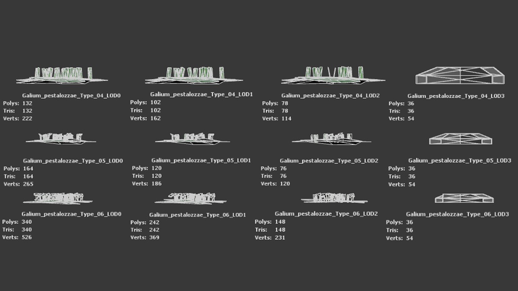 トルコの希少植物 ガリウム・ペスタロッツァエ 3Dモデル
