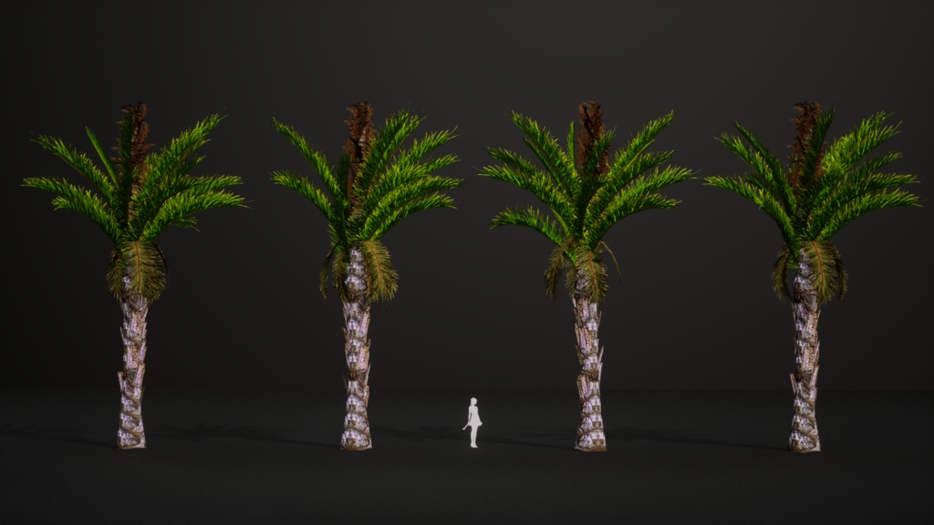 南部の巨木 ラフィア・アウストラリス 3Dモデル