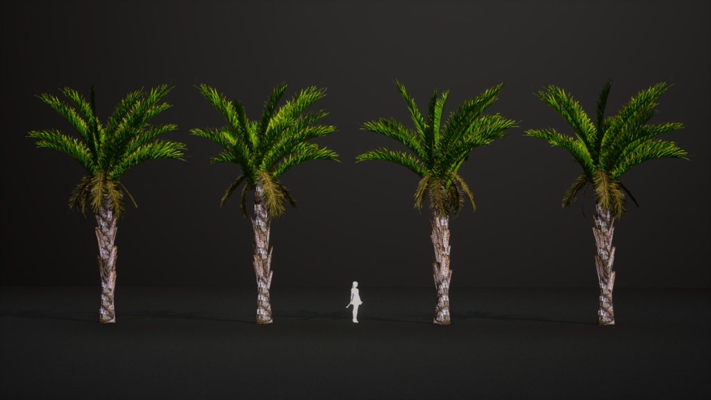 南部の巨木 ラフィア・アウストラリス 3Dモデル