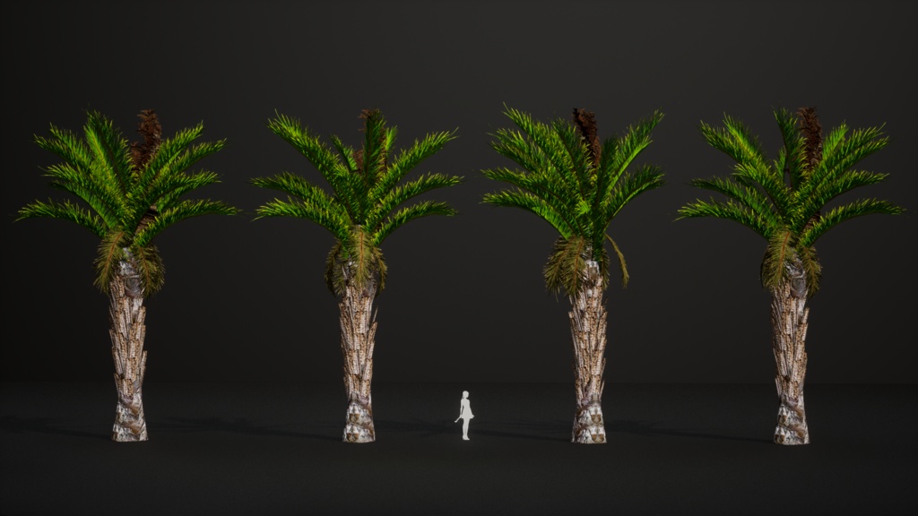 南部の巨木 ラフィア・アウストラリス 3Dモデル