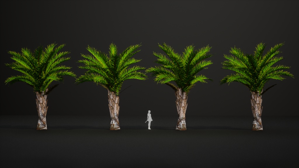 南部の巨木 ラフィア・アウストラリス 3Dモデル