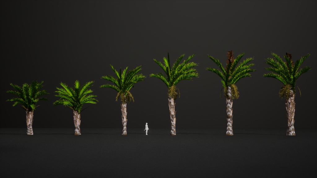 南部の巨木 ラフィア・アウストラリス 3Dモデル