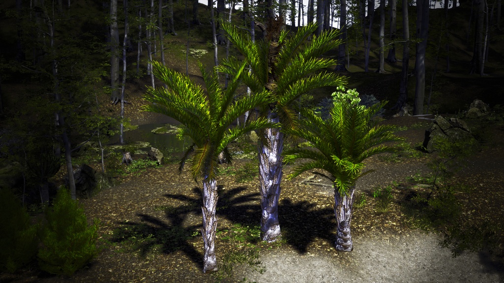 南部の巨木 ラフィア・アウストラリス 3Dモデル