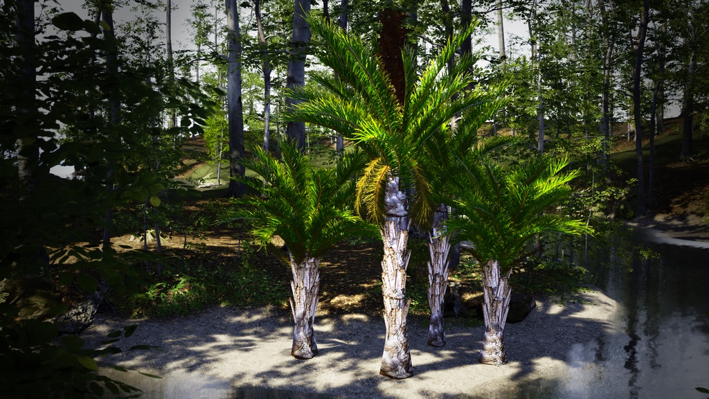 南部の巨木 ラフィア・アウストラリス 3Dモデル