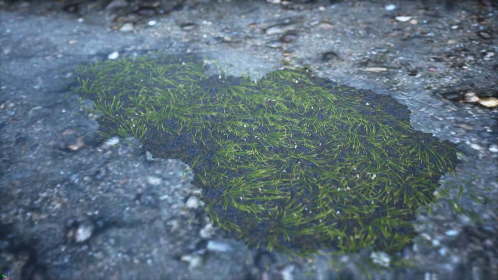 水中の捕虫植物 ウトリクラリア・テトラロバ 3Dモデル