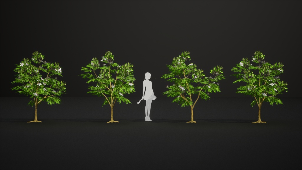 希少な熱帯樹 テスマニア・バイキアイオイデス 3Dモデル