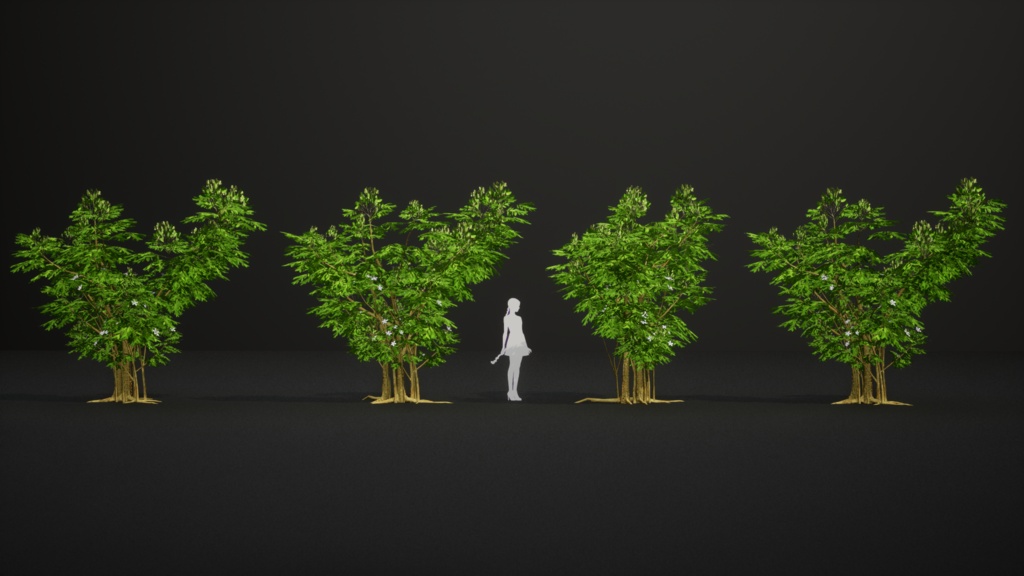 希少な熱帯樹 テスマニア・バイキアイオイデス 3Dモデル