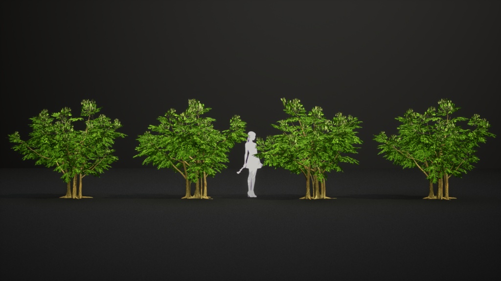 希少な熱帯樹 テスマニア・バイキアイオイデス 3Dモデル