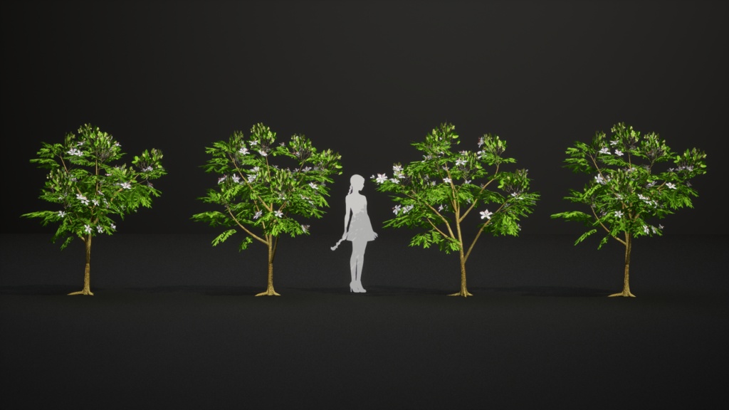 希少な熱帯樹 テスマニア・バイキアイオイデス 3Dモデル