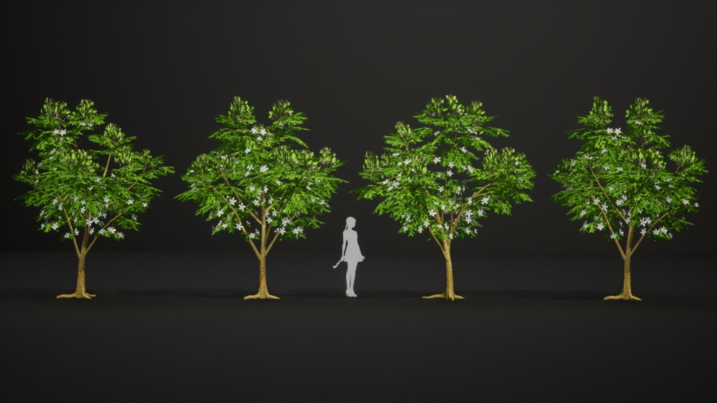 希少な熱帯樹 テスマニア・バイキアイオイデス 3Dモデル