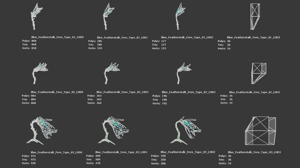 青い羽のシダ ブルー・フェザーストーク・フェルン 3Dモデル