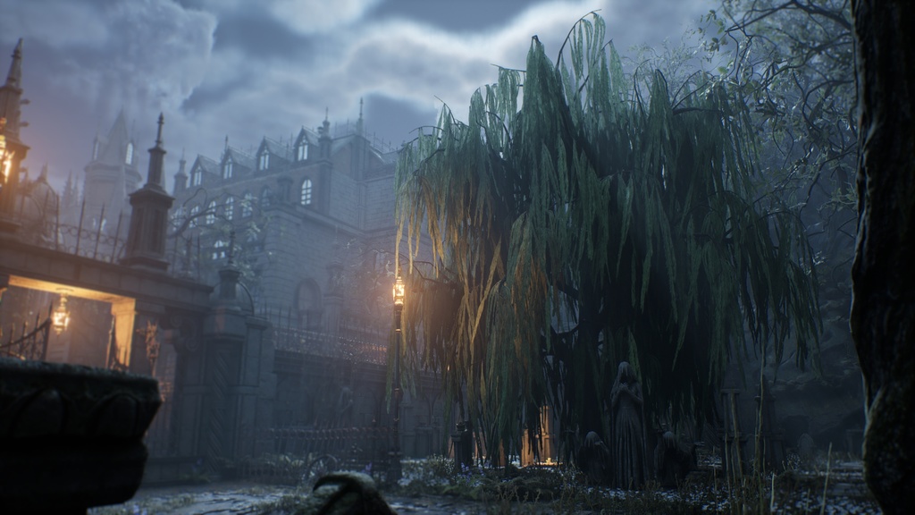 MEGA PLANT PACK - 10韓国ストリートプラントパック