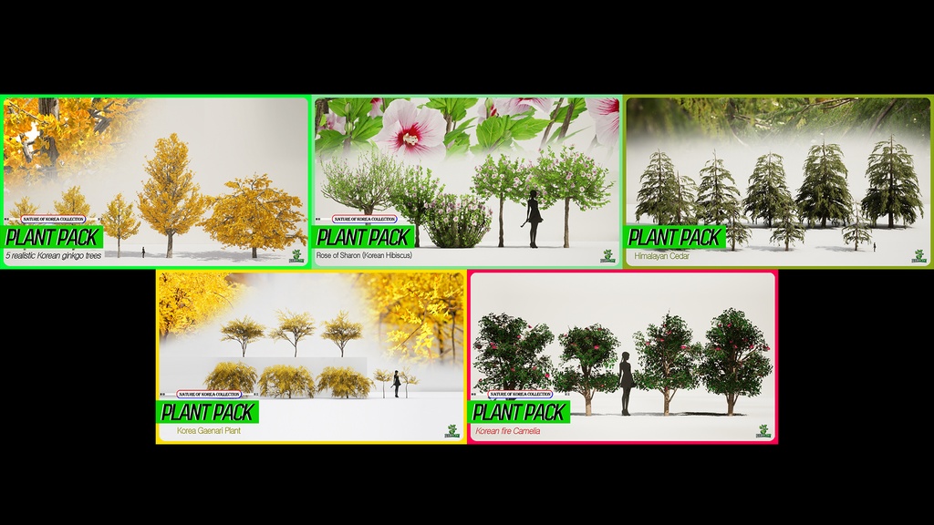 MEGA PLANT PACK - 10韓国ストリートプラントパック