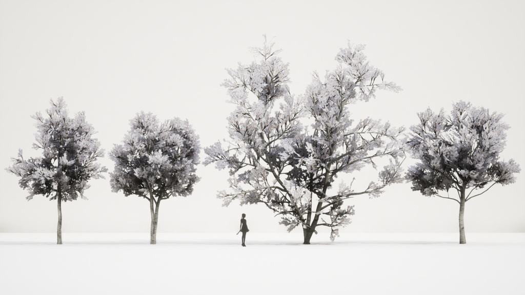 MEGA PLANT PACK - 10韓国ストリートプラントパック