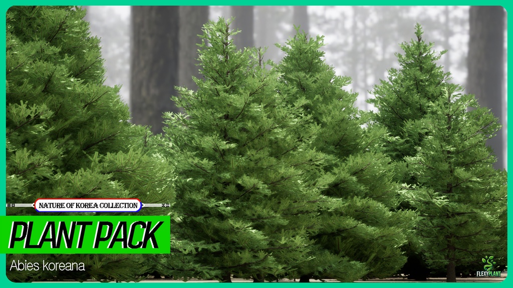 MEGA PLANT PACK - 10韓国ストリートプラントパック