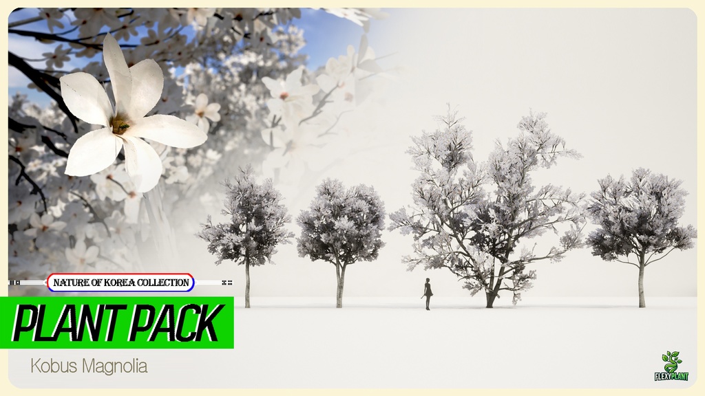 MEGA PLANT PACK - 10韓国ストリートプラントパック