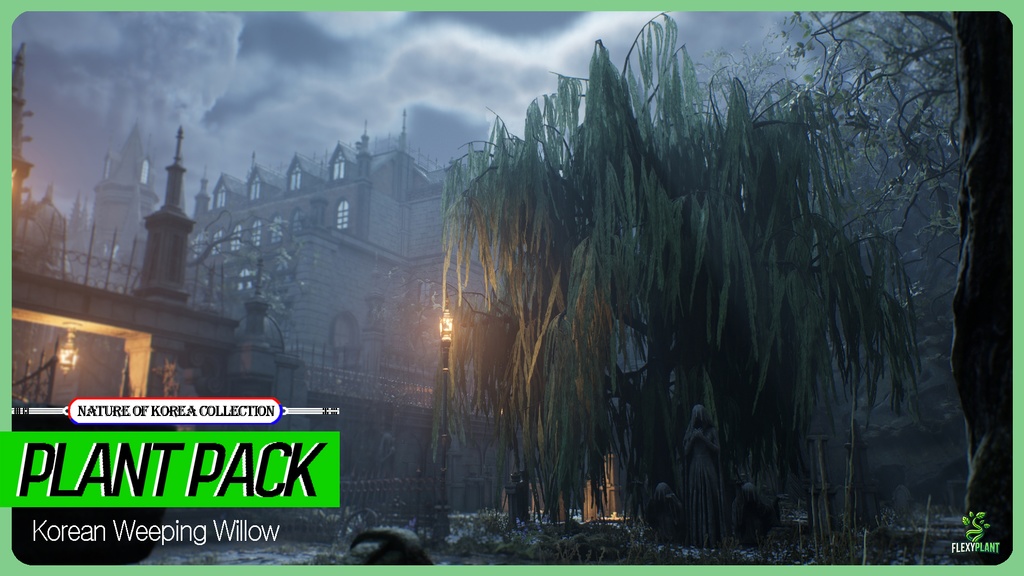 MEGA PLANT PACK - 10韓国ストリートプラントパック