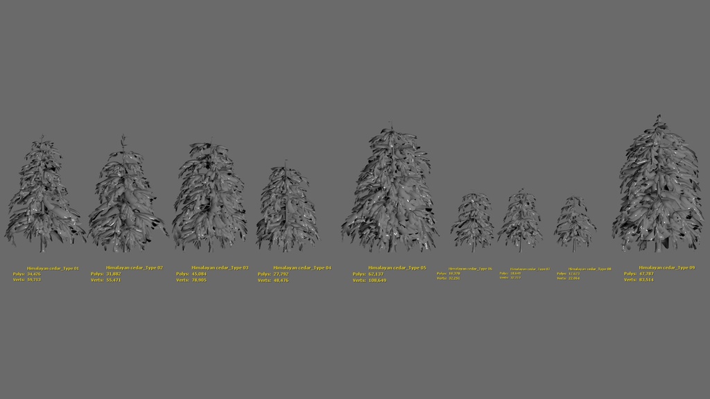 MEGA PLANT PACK - 10韓国ストリートプラントパック