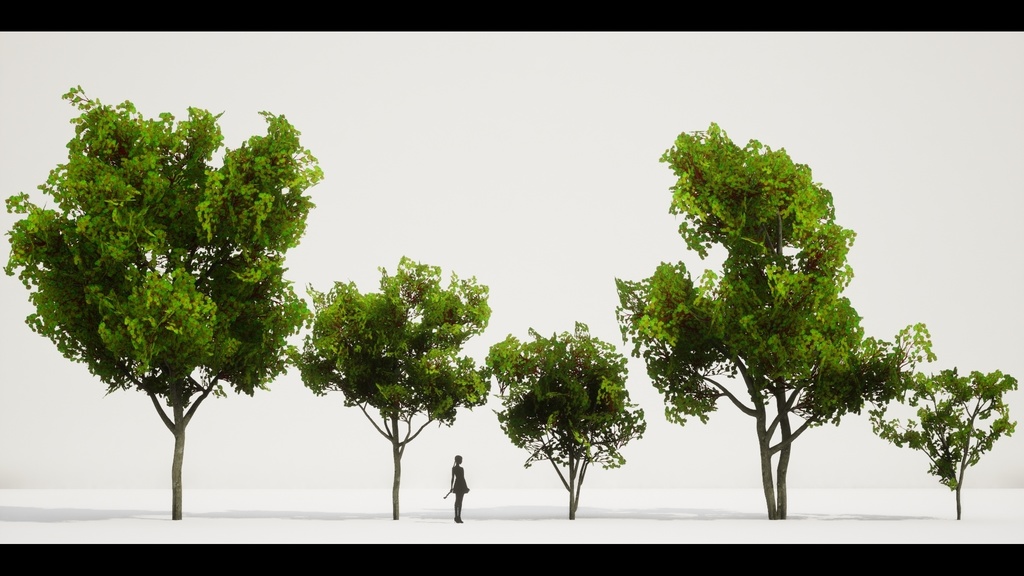 MEGA PLANT PACK - 10韓国ストリートプラントパック