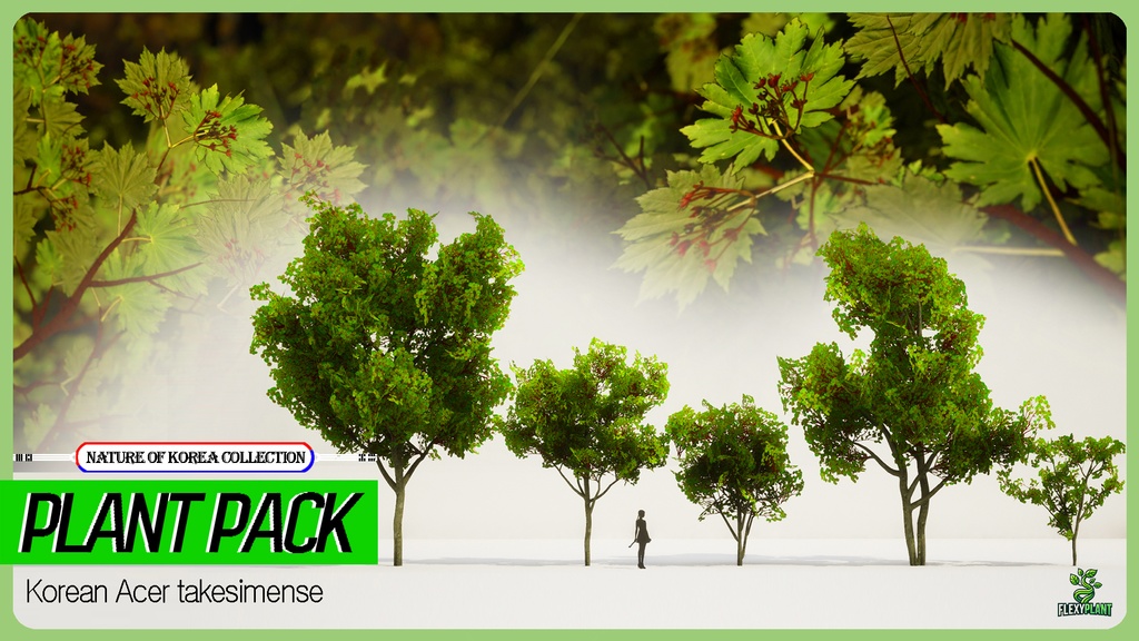 MEGA PLANT PACK - 10韓国ストリートプラントパック