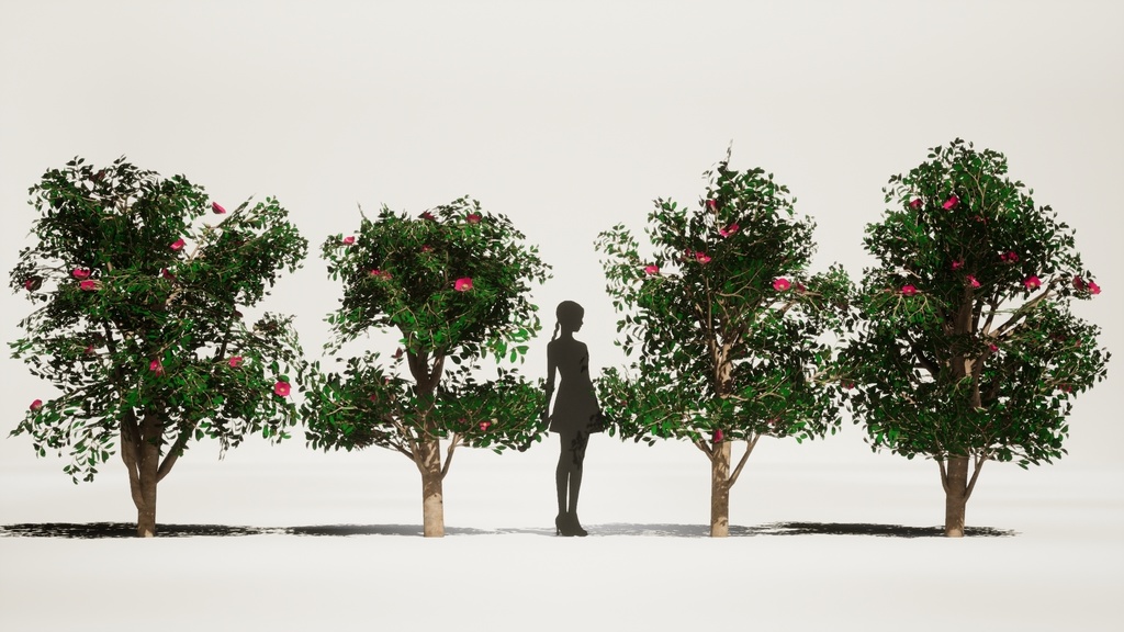 MEGA PLANT PACK - 10韓国ストリートプラントパック