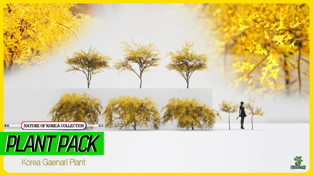 MEGA PLANT PACK - 10韓国ストリートプラントパック