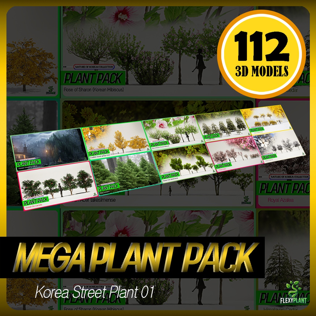 MEGA PLANT PACK - 10韓国ストリートプラントパック
