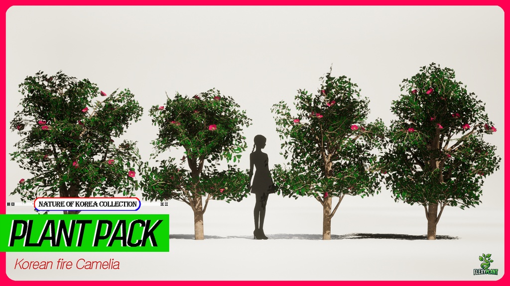 MEGA PLANT PACK - 10韓国ストリートプラントパック