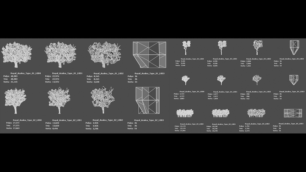 MEGA PLANT PACK - 10韓国ストリートプラントパック