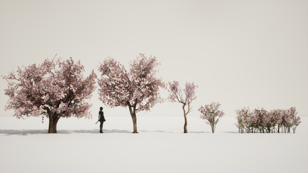 MEGA PLANT PACK - 10韓国ストリートプラントパック