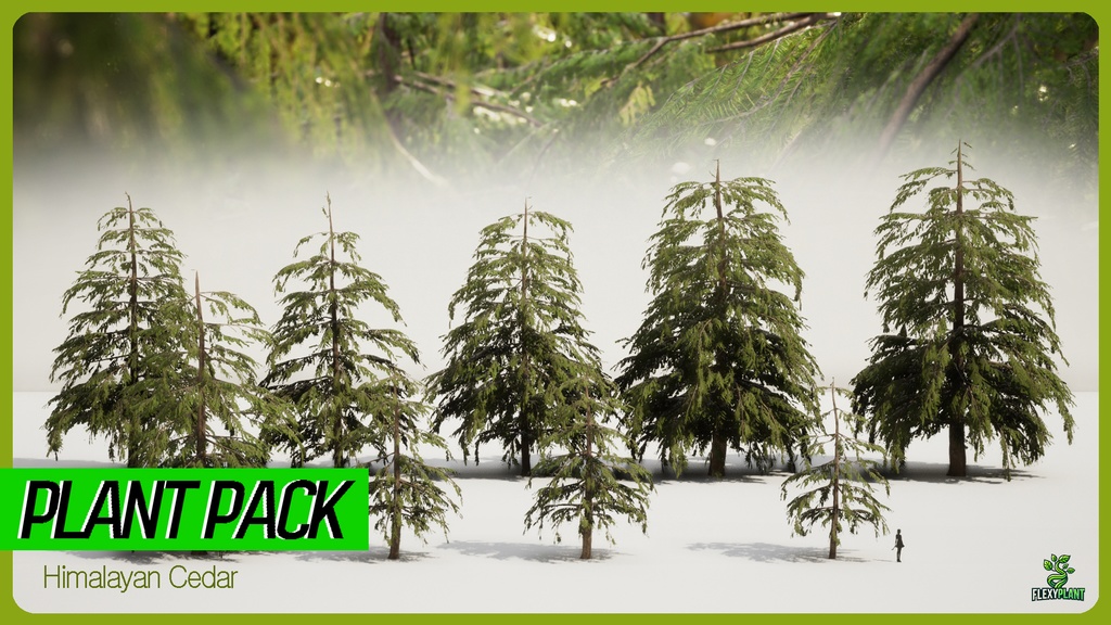 MEGA PLANT PACK - 10韓国ストリートプラントパック