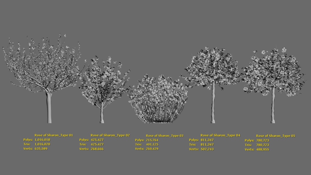 MEGA PLANT PACK - 10韓国ストリートプラントパック
