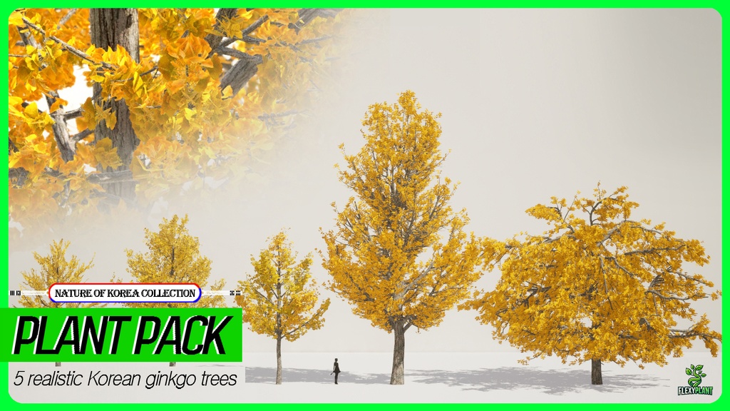 MEGA PLANT PACK - 10韓国ストリートプラントパック