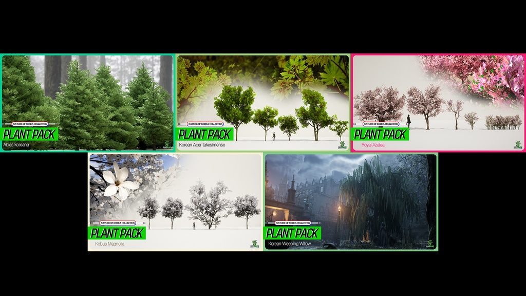 MEGA PLANT PACK - 10韓国ストリートプラントパック