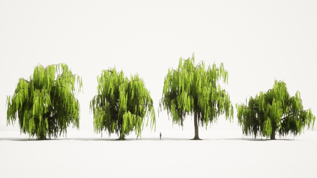 MEGA PLANT PACK - 10韓国ストリートプラントパック