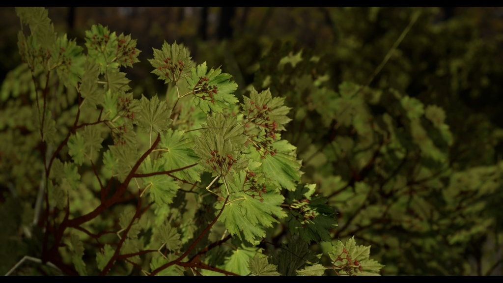 MEGA PLANT PACK - 10韓国ストリートプラントパック