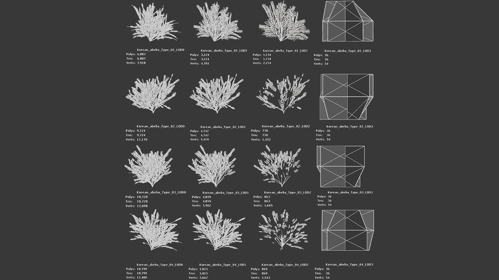 MEGA PLANT PACK - 韓国固有種10種01パック