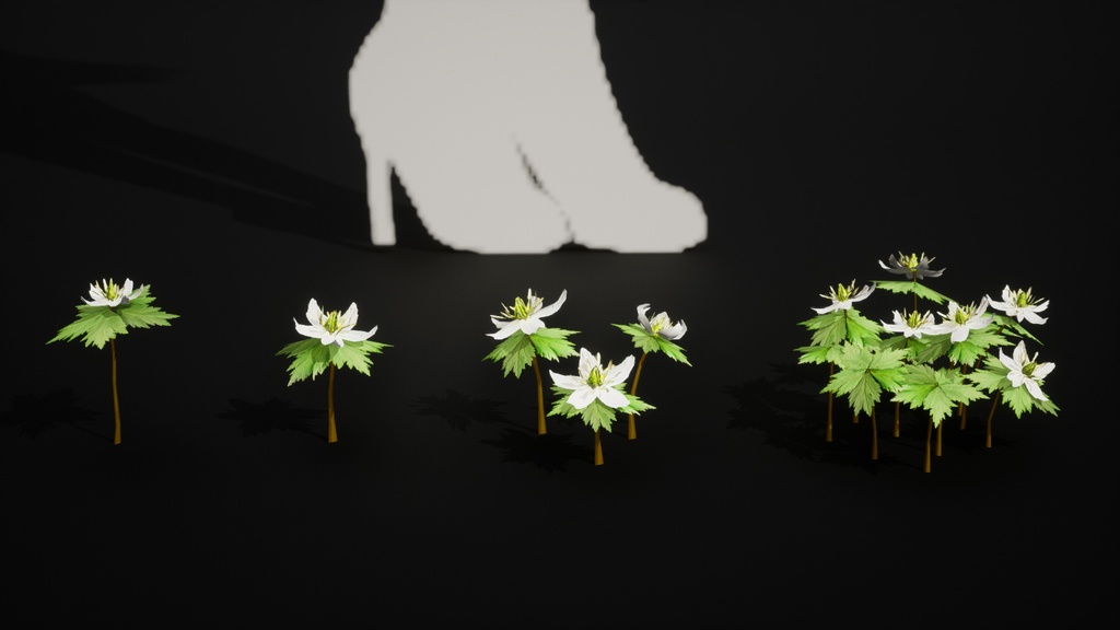 MEGA PLANT PACK - 韓国固有種10種01パック