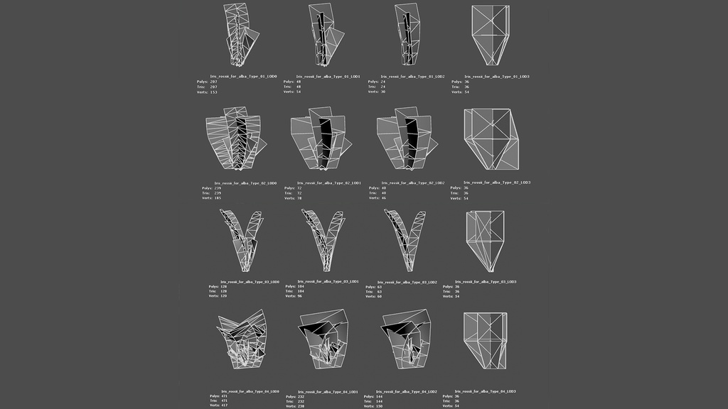 MEGA PLANT PACK - 韓国固有種10種01パック
