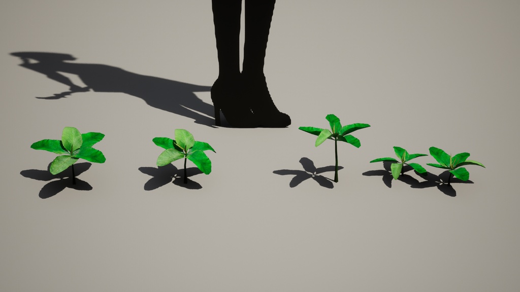 MEGA PLANT PACK - 韓国固有種10種01パック