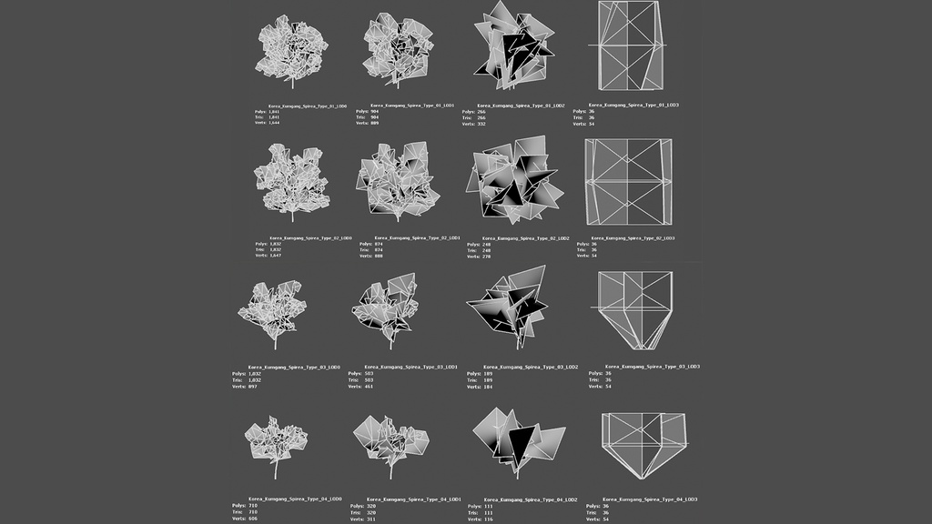 MEGA PLANT PACK - 韓国固有種10種01パック