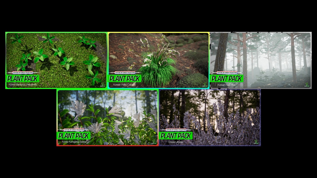 MEGA PLANT PACK - 韓国固有種10種01パック