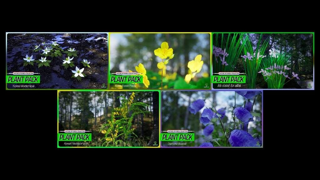 MEGA PLANT PACK - 韓国固有種10種01パック