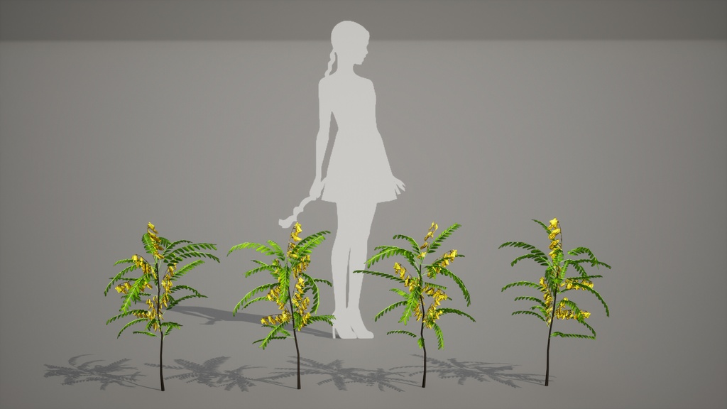 MEGA PLANT PACK - 韓国固有種10種01パック