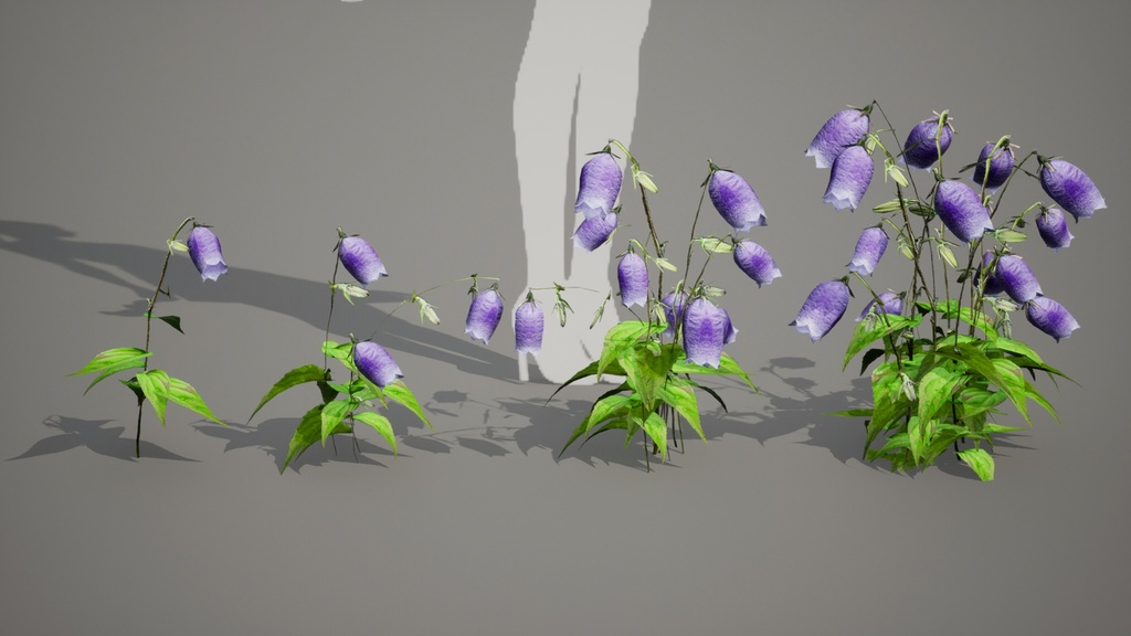 MEGA PLANT PACK - 韓国固有種10種01パック