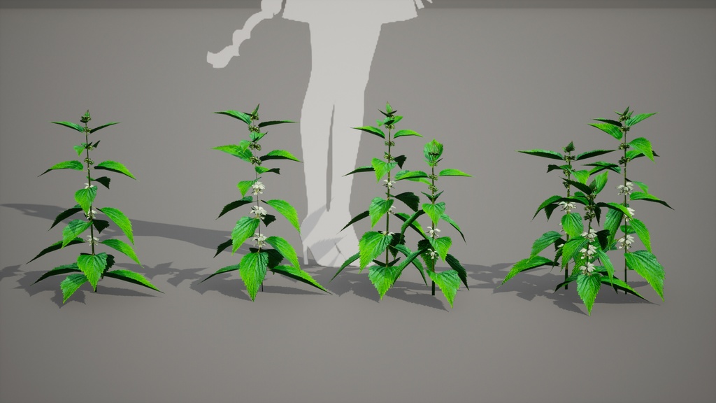 MEGA PLANT PACK - 韓国固有種10種 02パック