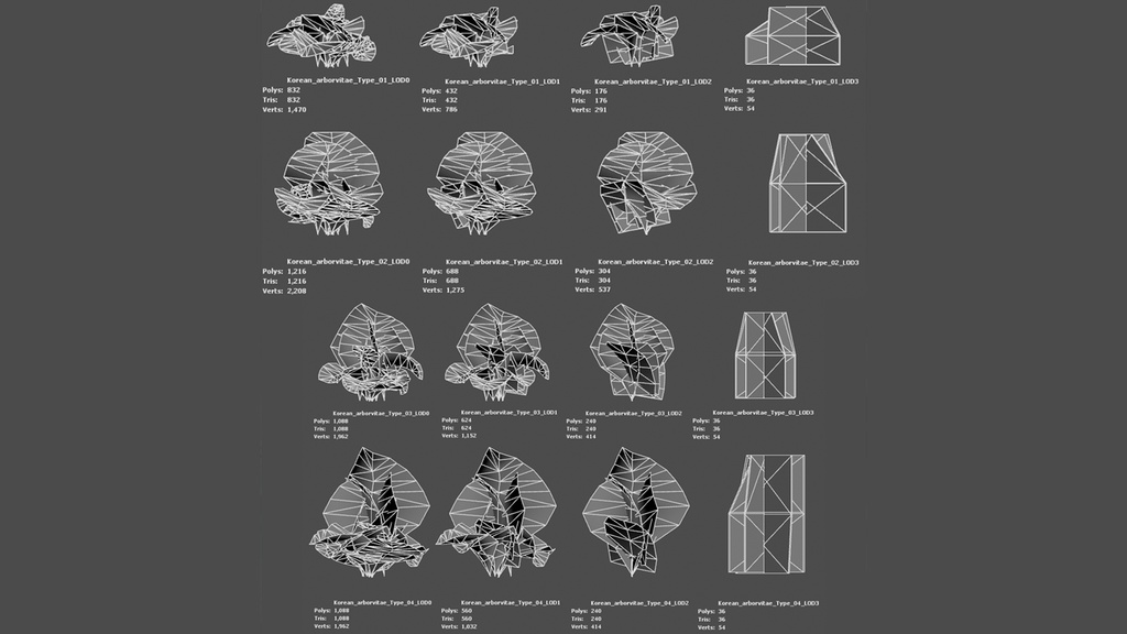 MEGA PLANT PACK - 韓国固有種10種 02パック